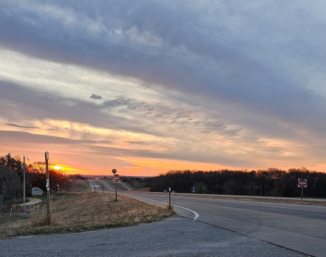 🐝 Sunday Devotion: Lessons from the Honeybee 🐝