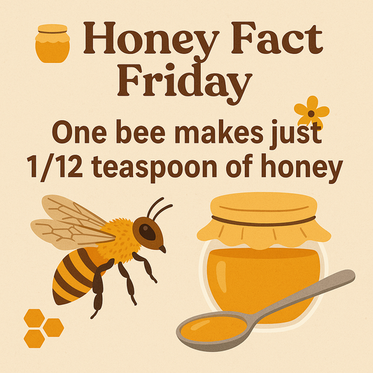 🍯 Honey Fact Friday 🍯