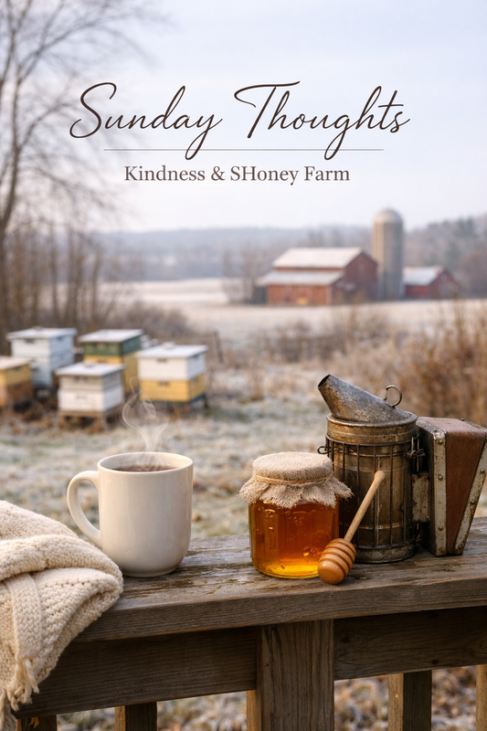 Sunday Thoughts: Kindness on a Cold Day