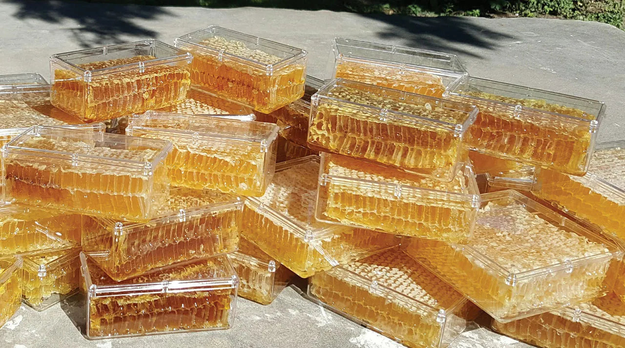 Comb Honey